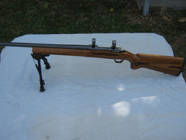 Ruger Varmint - SSAA Gun Sales